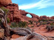 archeswindows_cropped_2.jpg