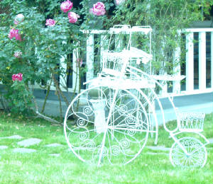 own or rent after retirement